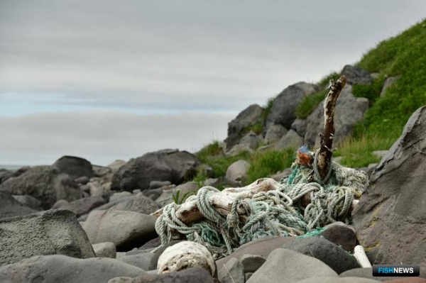 На Южной Камчатке проанализируют морской мусор