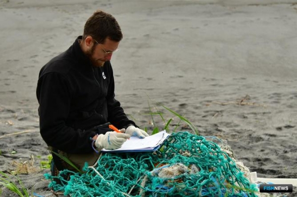 На Южной Камчатке проанализируют морской мусор