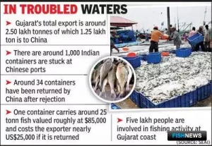 Коронавирус задержал индийскую рыбу на таможнях КНР