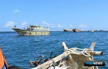 Лицензии для рыбаков Сомали приведут «к одному знаменателю»