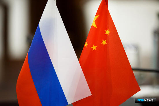 Проблемы рыбного экспорта вынесут на уровень российско-китайской подкомиссии Проблемы рыбного экспорта вынесут на уровень российско-китайской подкомиссии
