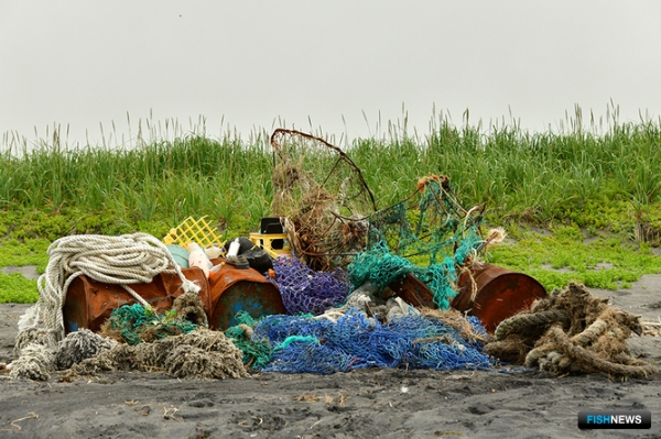 На войну с морским мусором призвали нейросеть