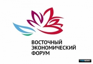 Перспективы инвестквот обсудят на ВЭФ Перспективы инвестквот обсудят на ВЭФ