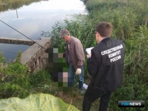Рыбалка под проводами обернулась трагедией Рыбалка под проводами обернулась трагедией