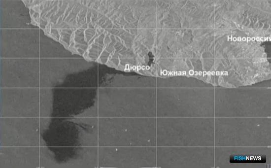 Ведомства оценят реальный ущерб от нефтеразлива в Черном море