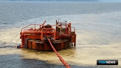 Следствие сочло нефтеразлив на Кубани ударом по природе Следствие сочло нефтеразлив на Кубани ударом по природе
