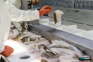 ОСМ займется данными о рыбопереработке