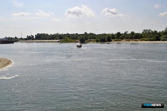 В Ростовской области подчитывают стоимость рыбоходного канала