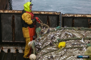 Рыбакам Северного бассейна вернут переводные коэффициенты