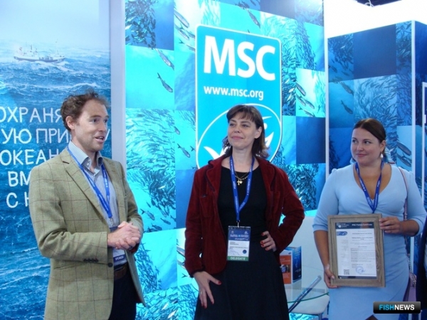 Северная креветка добралась до MSC-сертификата
