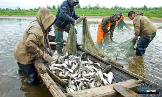 Правила рыболовства для Западной Сибири готовятся скорректировать