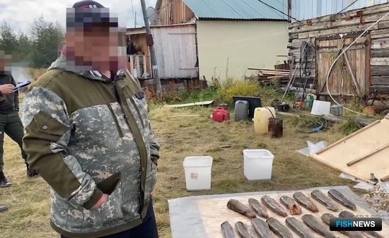 Силовики Якутии взяли группу охотников за ценной рыбой