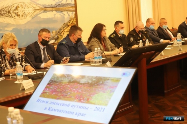 Лососевые уловы Камчатки на 20% превысили прогноз Лососевые уловы Камчатки на 20% превысили прогноз