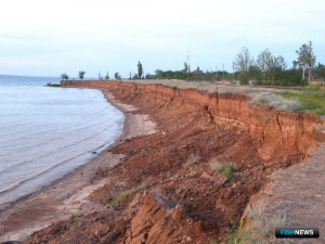Рыбные квоты в Волгоградском водохранилище выставили на торги
