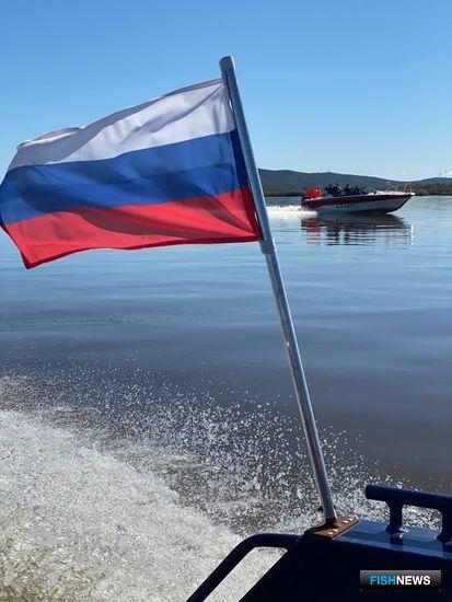 Коронавирус вмешался в рыбоохранные рейды России и Китая