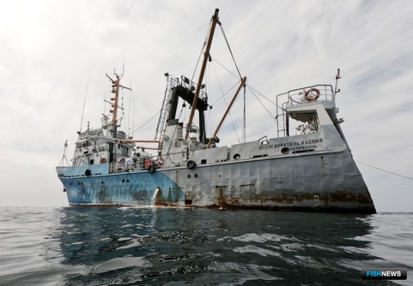 «Исследователь Каспия» оценил перспективы морских уловов