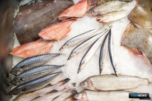 Росрыболовство озвучило планы по «рыбной бирже»