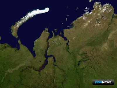 Карское море поделили между двумя бассейнами