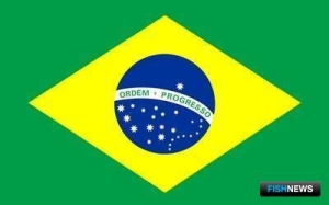 Список поставщиков рыбы в Бразилию хотят увеличить