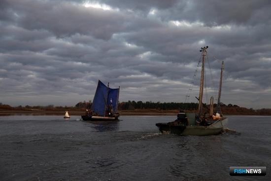 Новгородским рыбакам закрыли промысел линя и синца