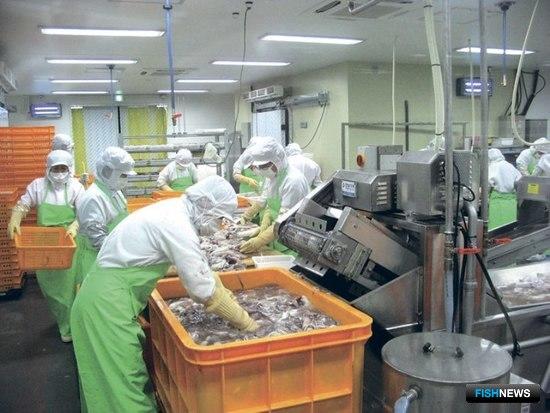 Южная Корея прибавила в рыбном экспорте Южная Корея прибавила в рыбном экспорте