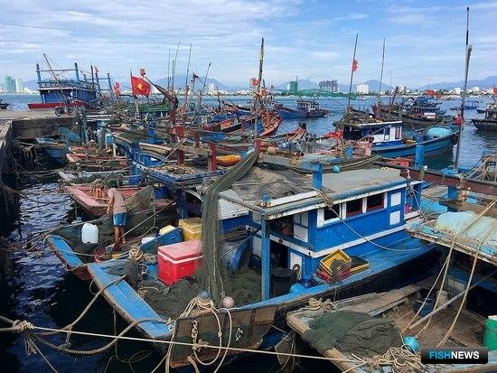Вьетнамские рыбопромышленники отбивают потери от пандемии