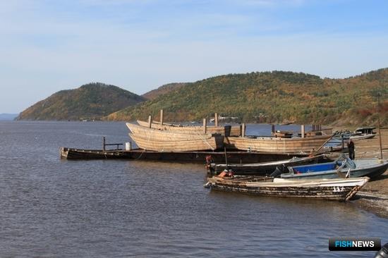 Рыбопромышленники Хабаровского края договорились о защите амурских лососей