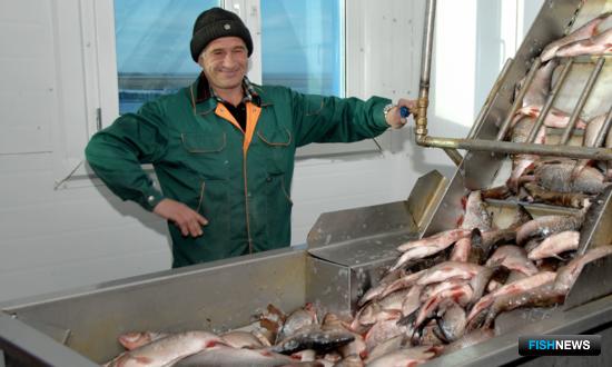 Для рыбаков Ямала унифицируют правила господдержки