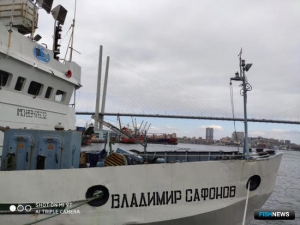 Потепление воды повлияло на лососей