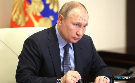 Владимир Путин поддержал запрет вылова мормлеков для дельфинариев