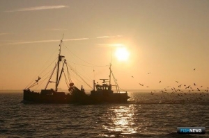 Прибрежные страны Северного моря согласовали рыбные квоты
