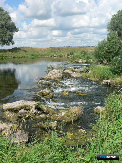 Крупнейшую реку Нижегородской области хотят оздоровить