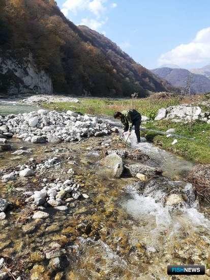 Ученые рассказали о проблемах рек Северного Кавказа
