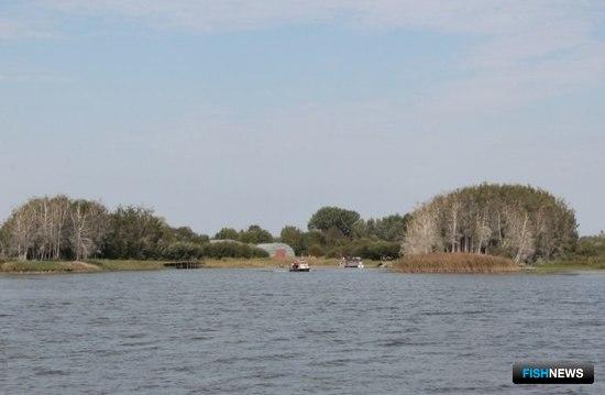 Предприятиям дали раскладку по промыслу на Чудско-Псковском озере