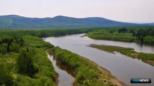 Рыбные реки Хабаровского края взяли под усиленную защиту