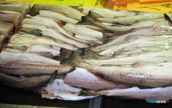 Россельхознадзор призвал экспортеров рыбы соблюдать требования по борьбе с COVID-1