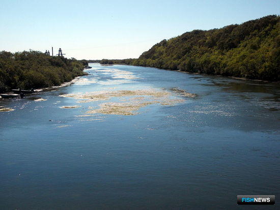 Коммунальщиков на Камчатке обязали узаконить стоки в лососевую реку
