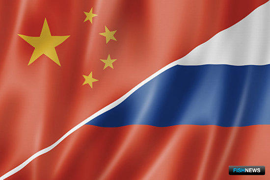 Россия попросила Китай раскрыть алгоритмы при проверках рыбных грузов