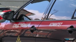 С вырубкой Волго-Ахтубинской поймы разберется Следком С вырубкой Волго-Ахтубинской поймы разберется Следком