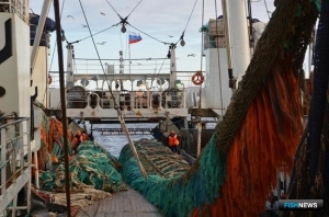 Отечественный вылов остается в плюсе Отечественный вылов остается в плюсе