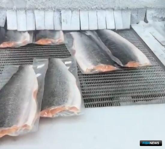 Зарубежный лосось ищет замены российскому рынку