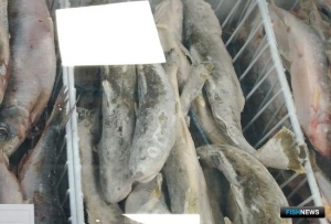 ФАС взяла стоимость продуктов на особый контроль ФАС взяла стоимость продуктов на особый контроль