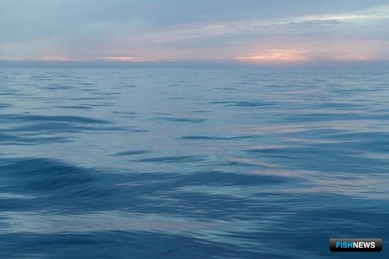 Рыбацкий флот Норвегии предостерегли насчет вод РФ