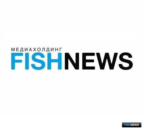 Fishnews на связи