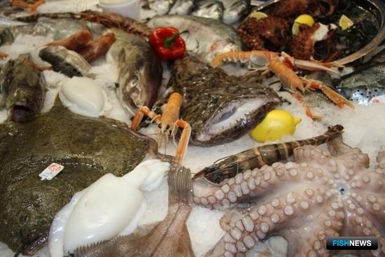 Проект рыбного рынка во Владивостоке прошел Росрыболовство