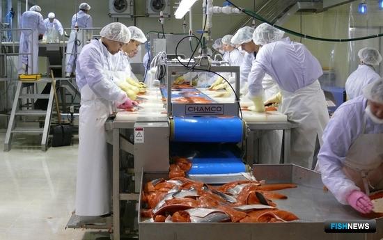 КРДВ уделит особое внимание развитию рыбной отрасли