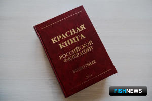 Красную книгу животных переиздали