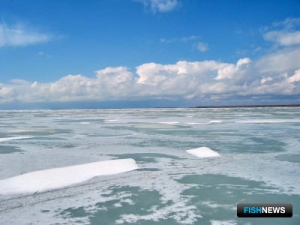 На крупнейшем озере Западной Сибири проверили зимовку рыбы
