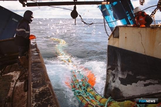 Правкомиссия обсудит работу рыбной отрасли в условиях санкций