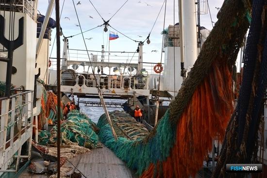 Наука предоставила возможность оценить перспективы рыбалки на Дальнем Востоке